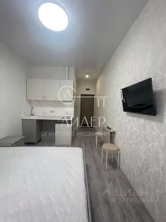 Студия Краснодарский край, Сочи ул. Ленина (17.0 м) - Фото 2