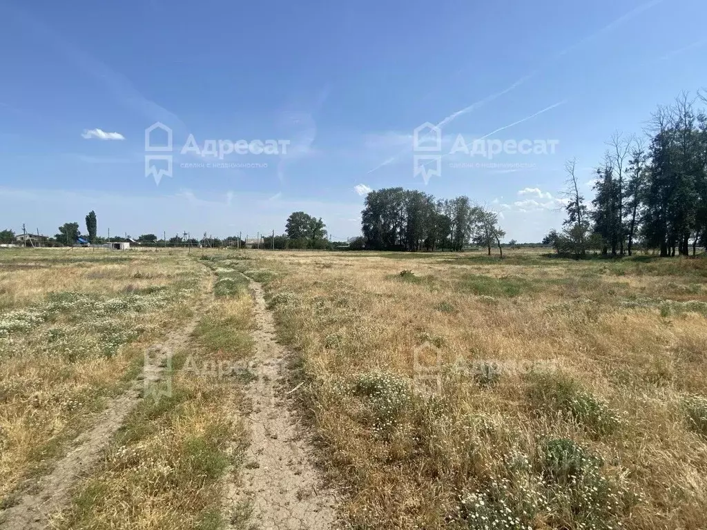 Участок в Волгоградская область, Среднеахтубинский район, Красное ... - Фото 1