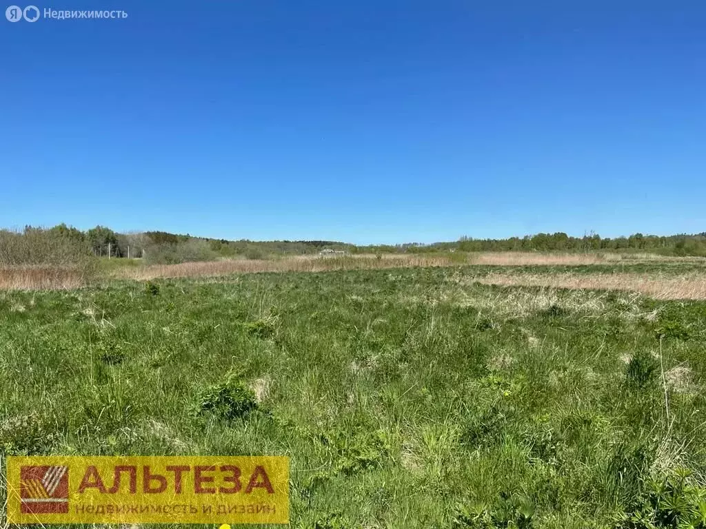 Участок в Калининградская область, Зеленоградский муниципальный округ, ... - Фото 1