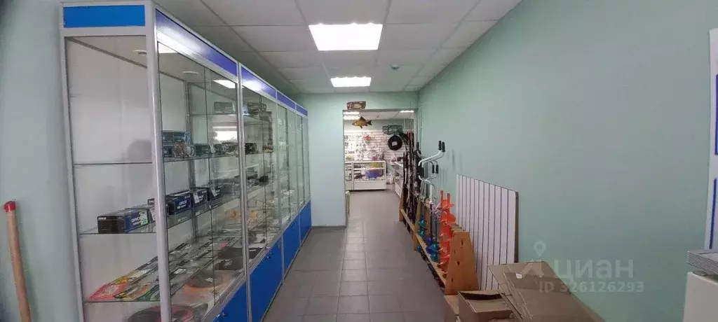 Помещение свободного назначения в Пензенская область, Каменка ул. ... - Фото 2