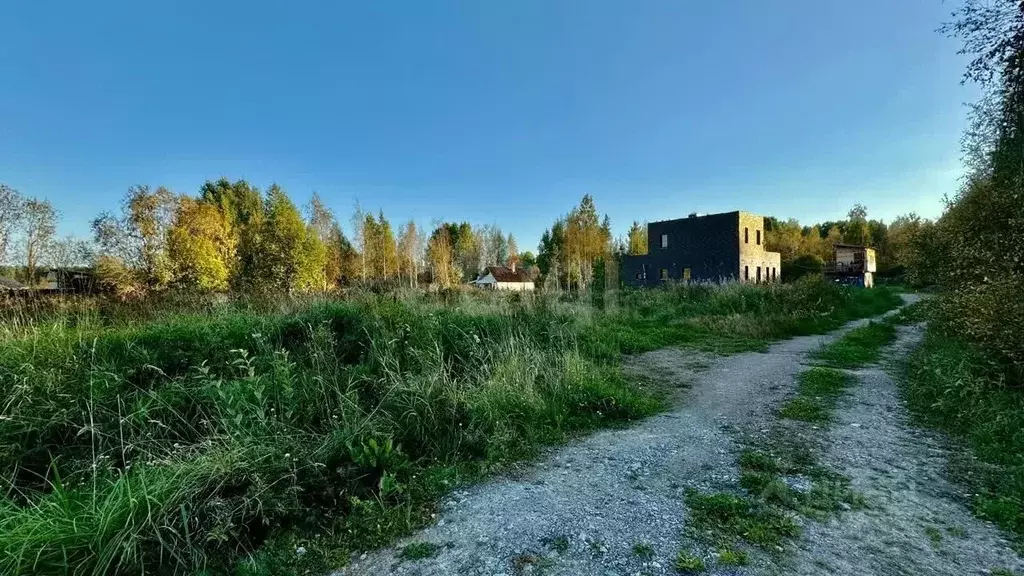 Участок в Ленинградская область, Приозерский район, Красноозерное ... - Фото 1