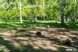 Участок в Курганская область, Кетовский муниципальный округ, ... - Фото 1