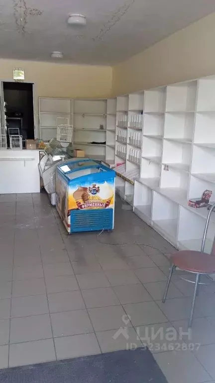 Торговая площадь в Курганская область, Макушинский муниципальный ... - Фото 2