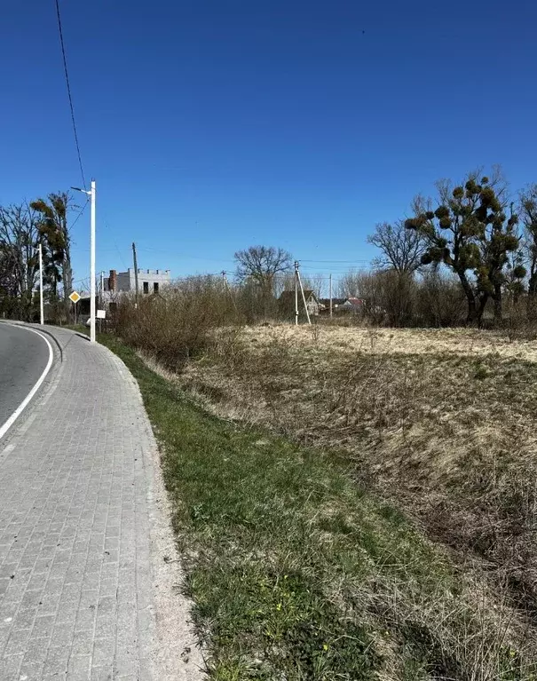 Участок в Калининградская область, Багратионовский муниципальный ... - Фото 2