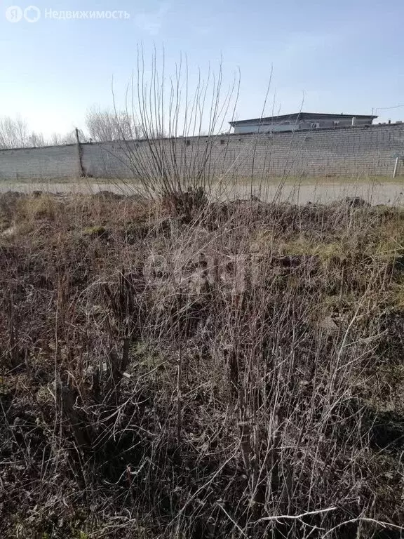 Участок в Ульяновск, СНТ Машзавода имени Володарского (6.95 м) - Фото 1