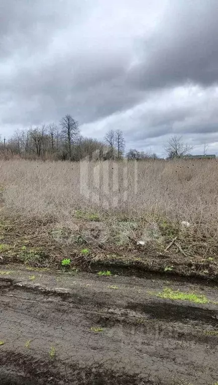 Участок в Воронежская область, Новоусманский район, с. Орлово  (9.0 ... - Фото 2