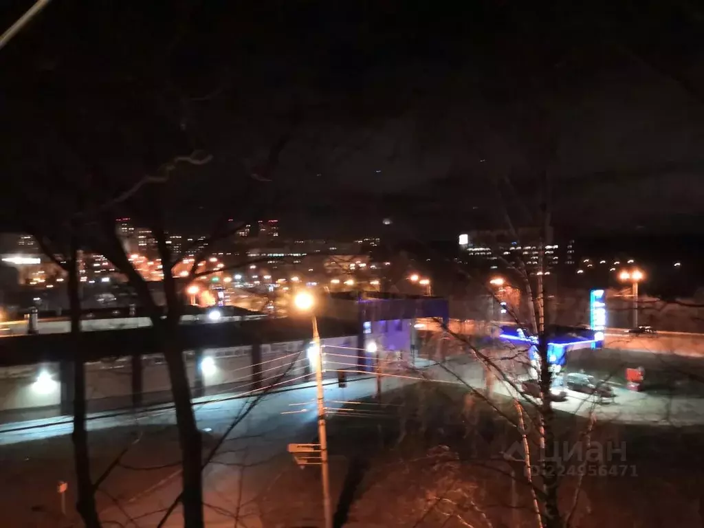 2-к кв. Нижегородская область, Нижний Новгород ул. Ванеева, 108 (44.8 ... - Фото 1