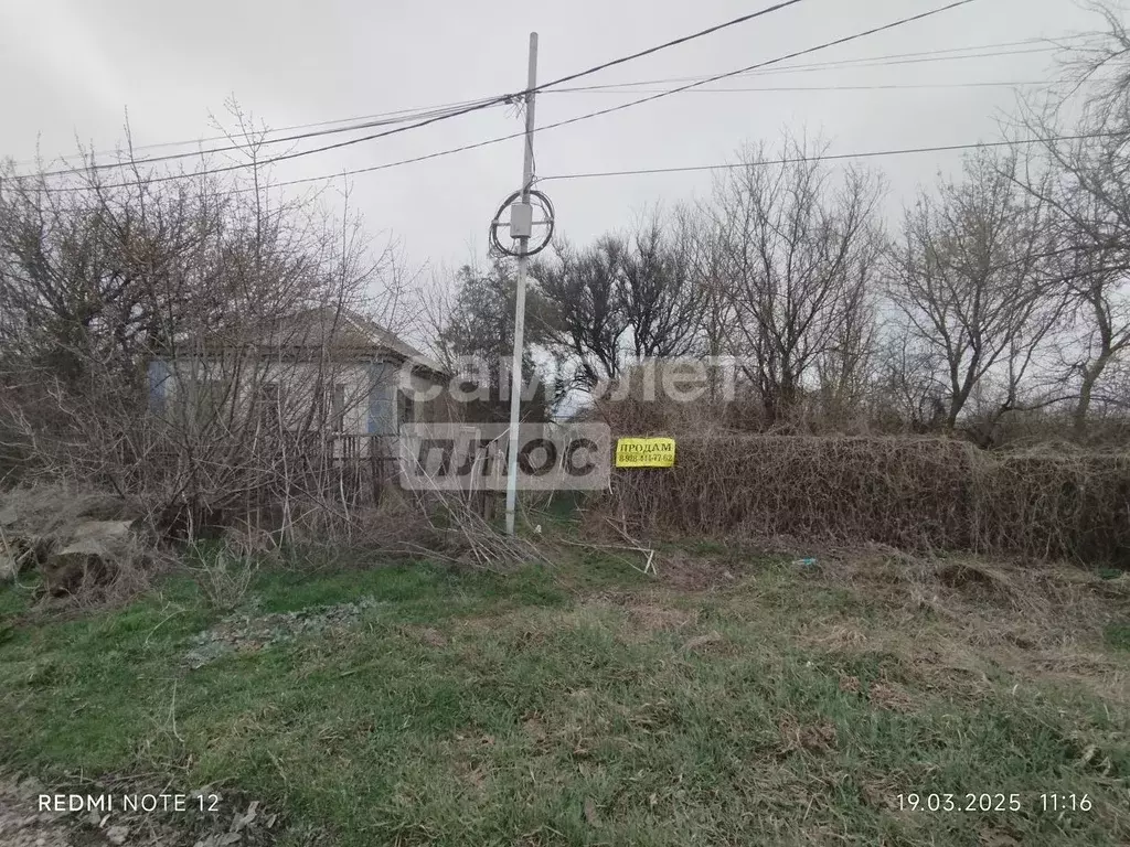 Участок в Краснодарский край, Щербиновский район, Старощербиновская ... - Фото 1