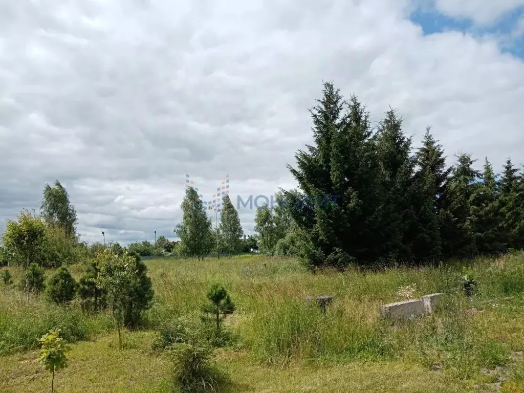 Участок в Нижегородская область, Богородский муниципальный округ, д. ... - Фото 1