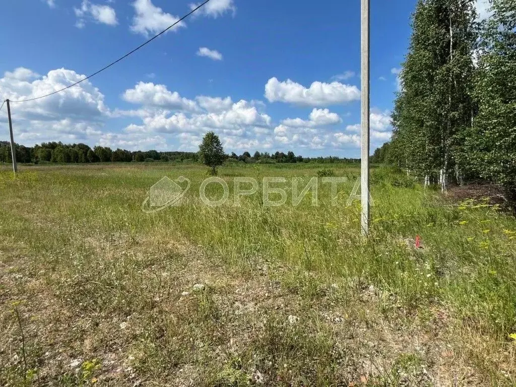 Участок в Тюменская область, Нижнетавдинский район, Царицыно СНТ  ... - Фото 1