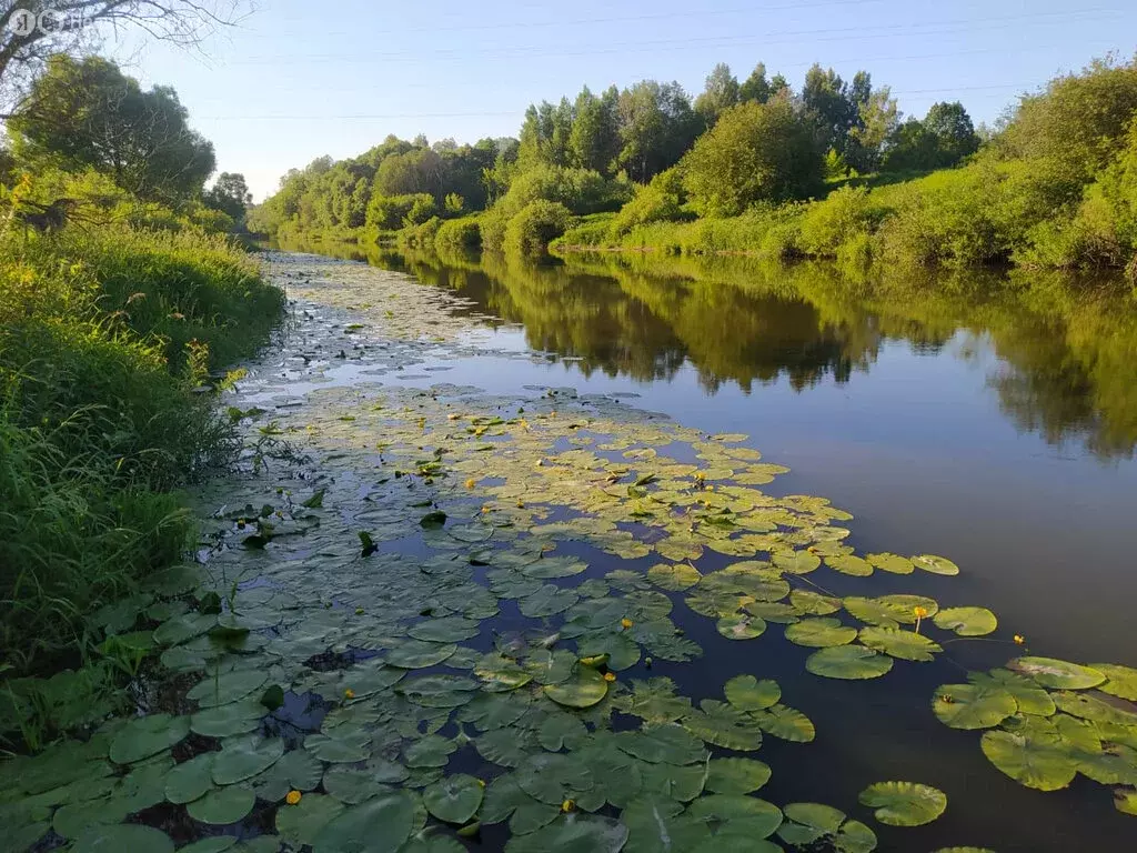 Дом в муниципальное образование Воскресенское, деревня Селино (22 м) - Фото 1