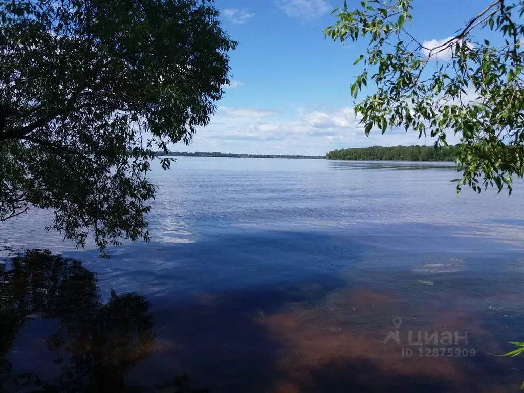 Дом в Ярославская область, Угличский район, Улейминское с/пос, с. ... - Фото 0