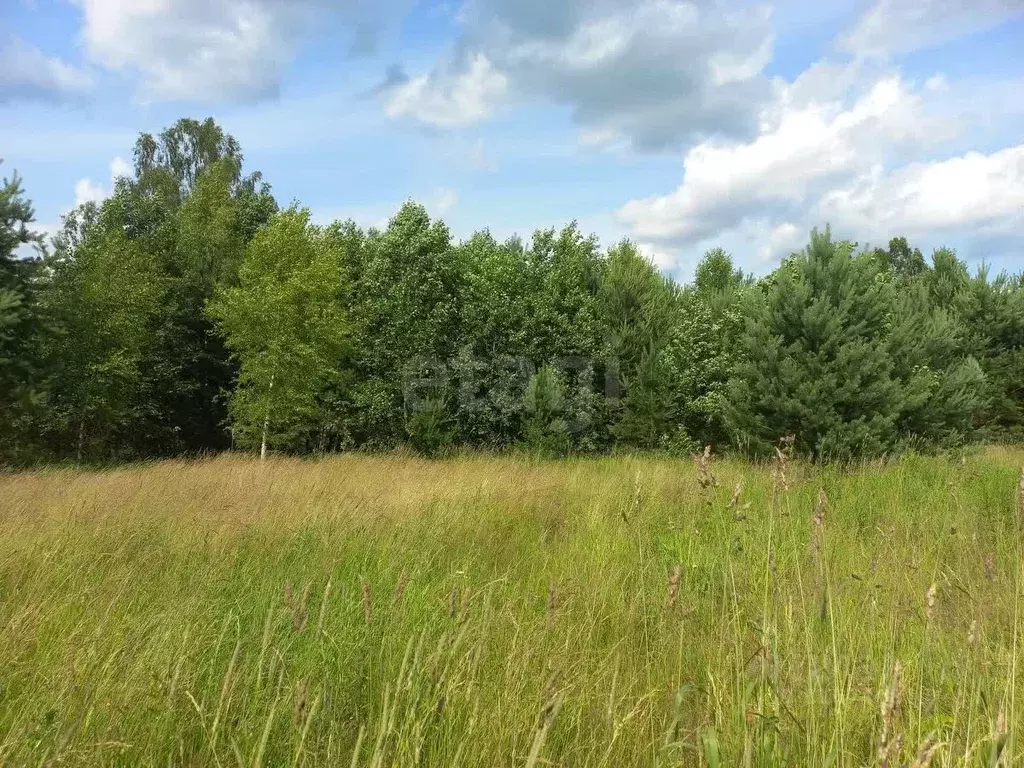 Участок в Ярославская область, Угличский муниципальный округ, ... - Фото 1