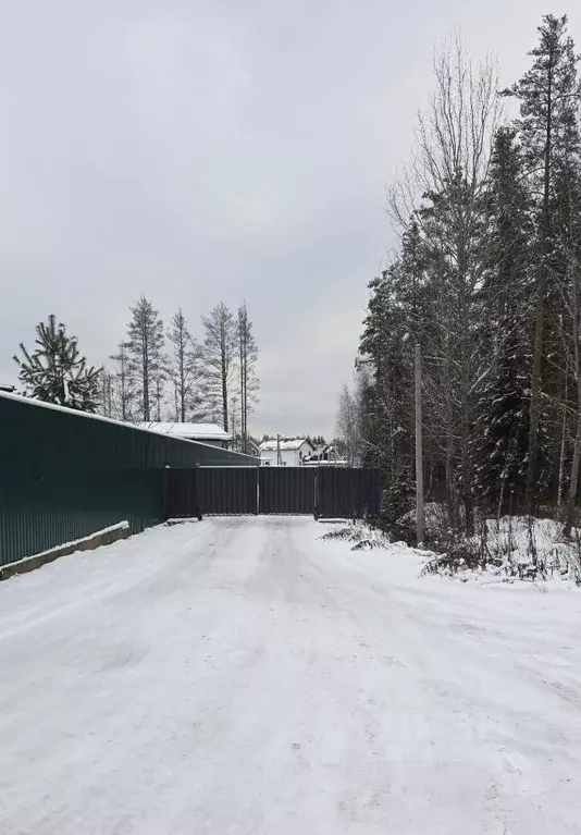 Участок в Ленинградская область, Всеволожский район, Агалатовское ... - Фото 2