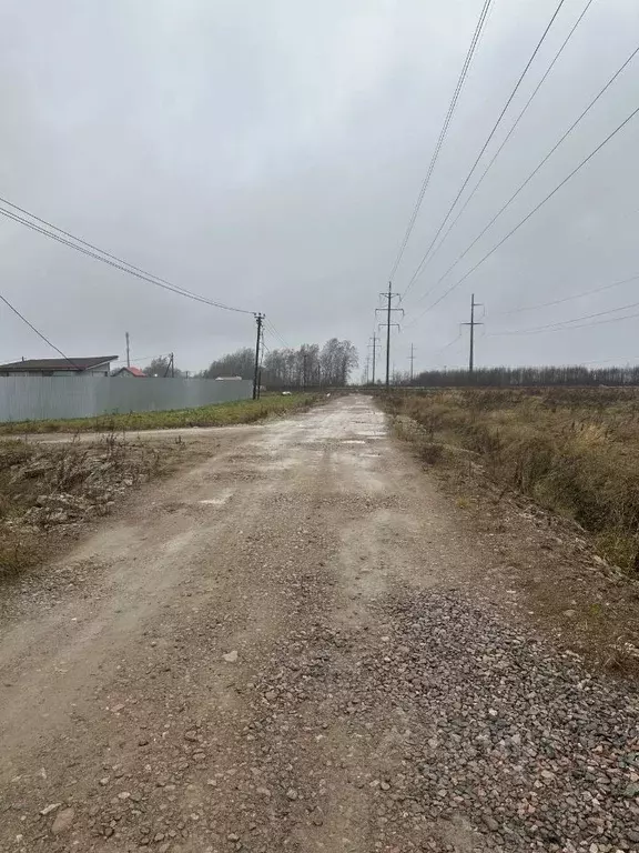 Участок в Ленинградская область, Ломоносовский район, Лопухинское ... - Фото 1
