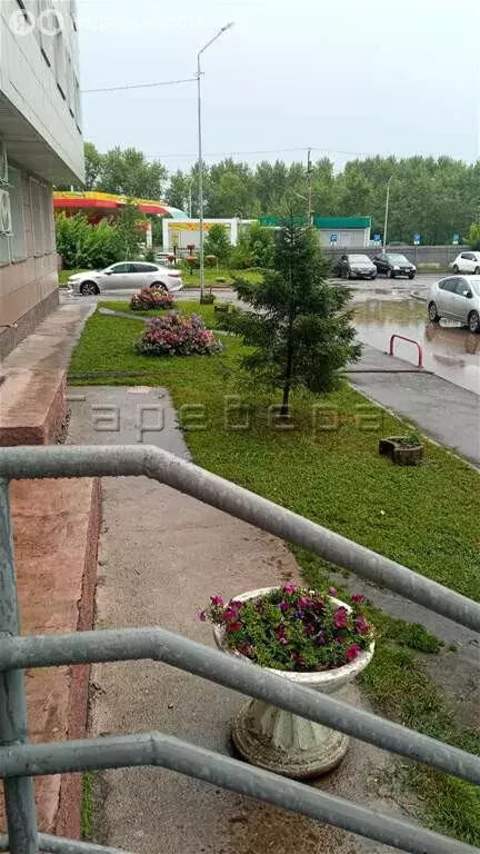 Квартира-студия: Красноярск, Норильская улица, 8Г (28 м) - Фото 1