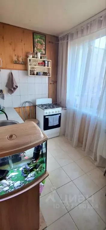 1-к кв. Ленинградская область, Тосненский район, Тельмановское ... - Фото 1