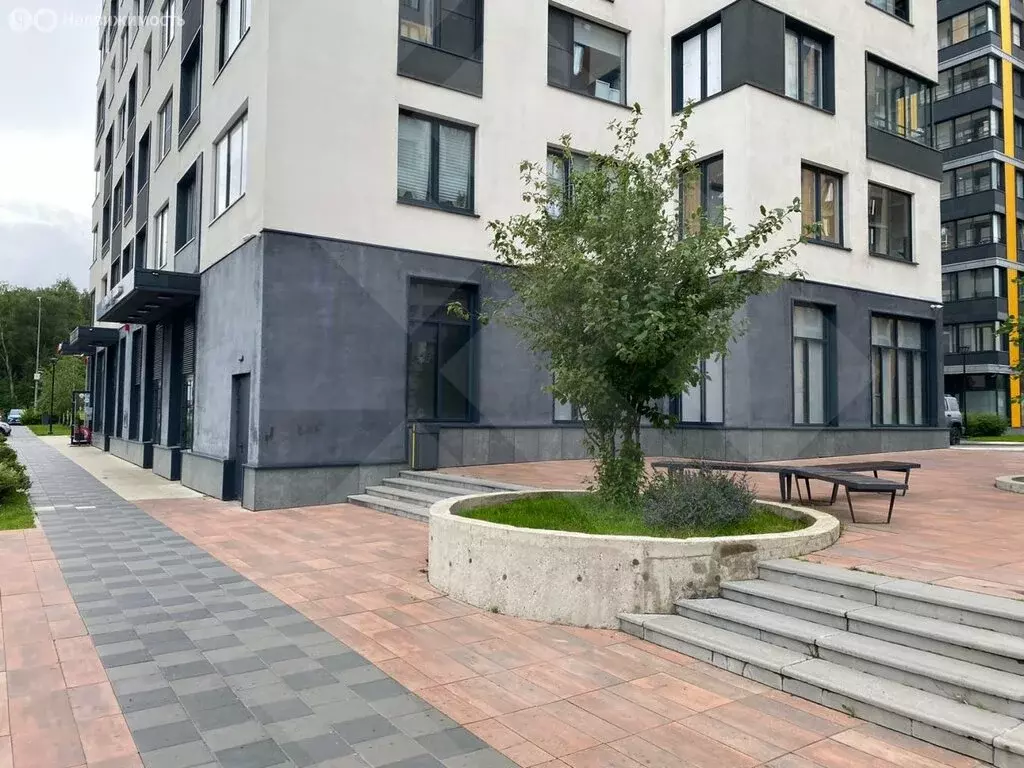 Помещение свободного назначения (244 м) - Фото 1