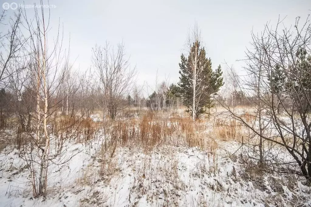 Участок в станция Евсино, Трактовая улица (15 м) - Фото 0