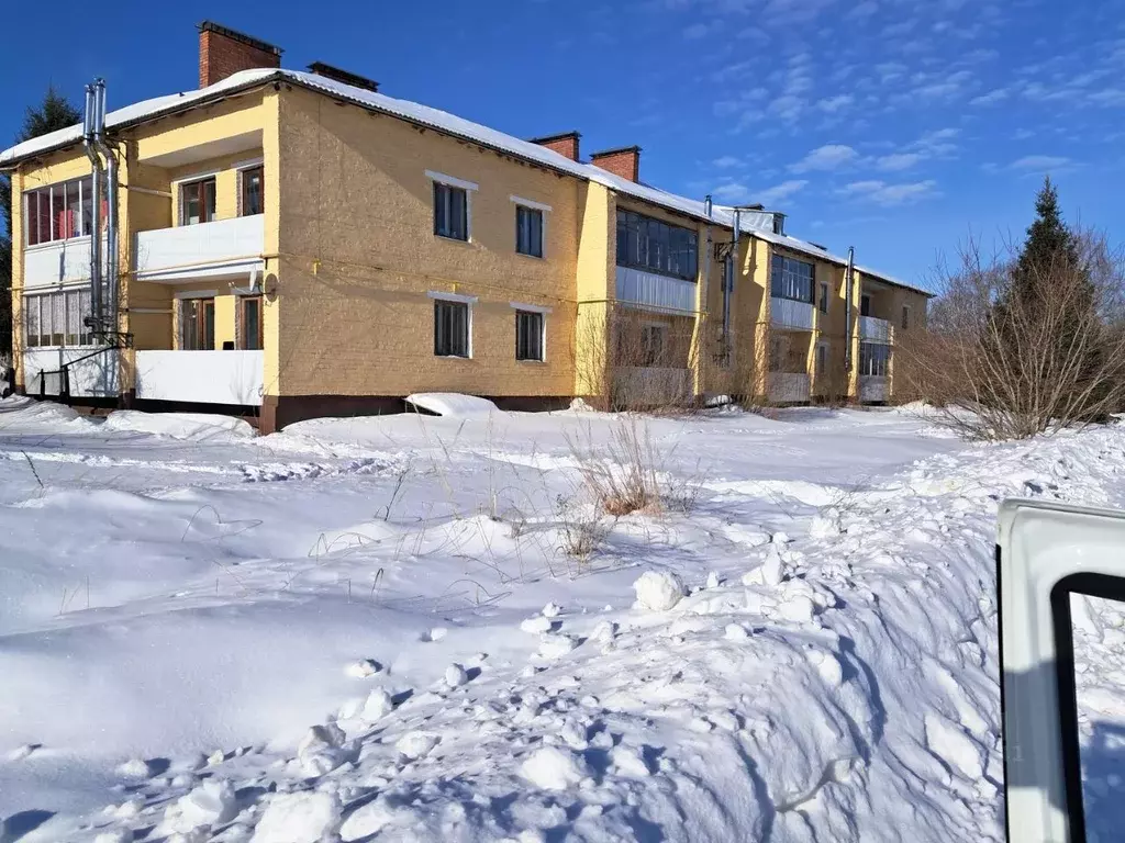 1-к кв. Смоленская область, Руднянский муниципальный округ, д. Сташки ... - Фото 2