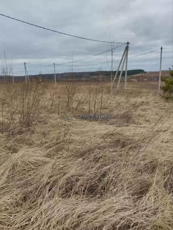 Участок в Нижегородская область, Дальнее Константиново рп пер. ... - Фото 2