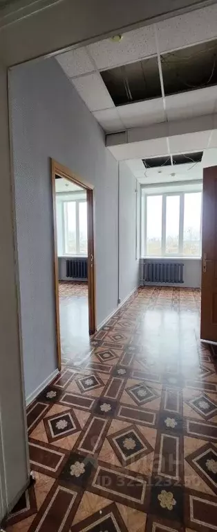 Офис в Удмуртия, Ижевск ул. Свердлова, 26 (600 м) - Фото 1