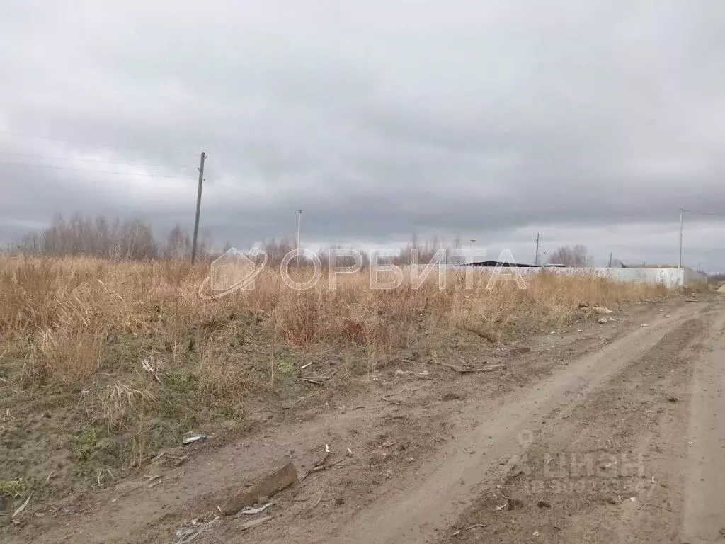 Участок в Тюменская область, Тюмень Ясень садовое товарищество,  (10.0 ... - Фото 1