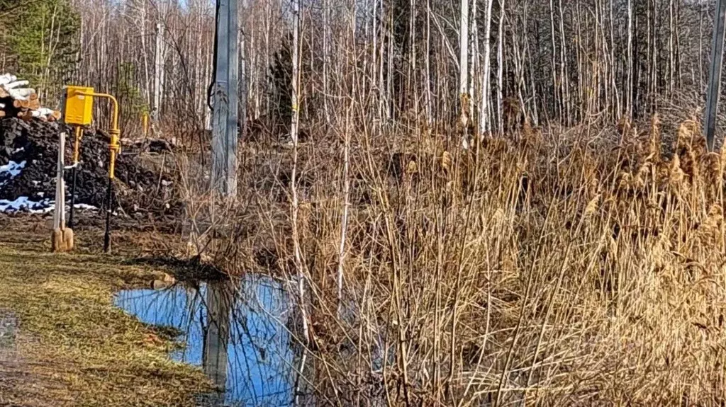 Участок в Тюменская область, Тюменский муниципальный округ, ... - Фото 1