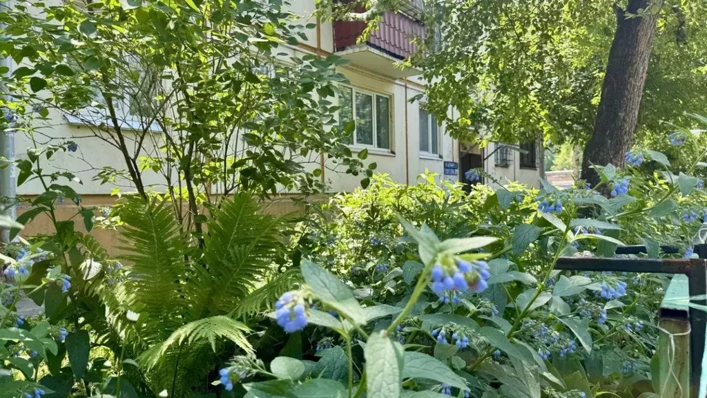 2-к кв. Иркутская область, Иркутск Байкальская ул., 180 (44.6 м) - Фото 1