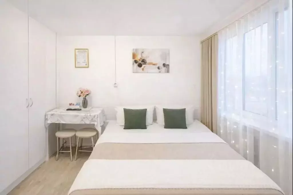 Студия Самарская область, Самара Ново-Садовая ул., 273 (24.0 м) - Фото 2