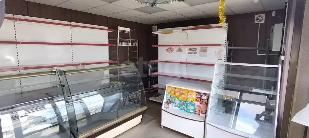 Торговая площадь в Сахалинская область, Южно-Сахалинск городской ... - Фото 1