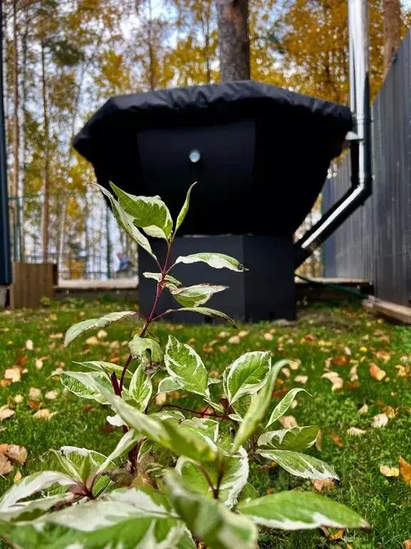Дом в Карелия, Пряжинский район, Чалнинское с/пос, Теплоэнергетик СНТ ... - Фото 2