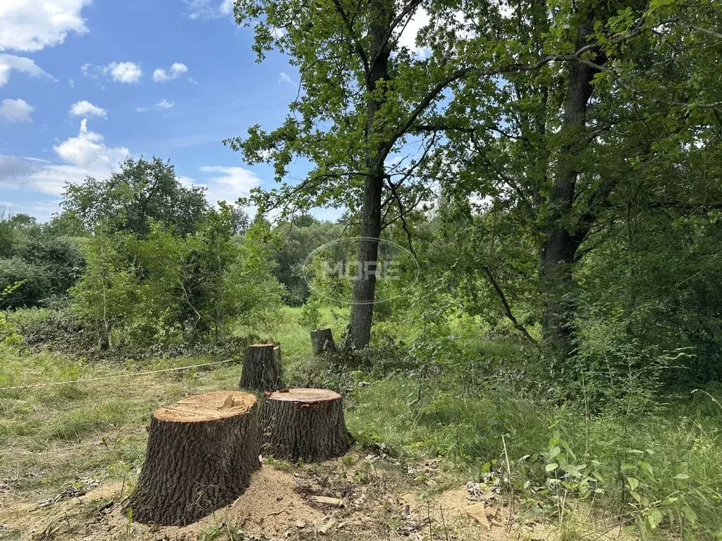 Участок в Калининградская область, Гвардейский муниципальный округ, ... - Фото 1