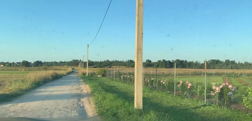 Участок в Псковская область, Печорский муниципальный округ, Лесицкое ... - Фото 1