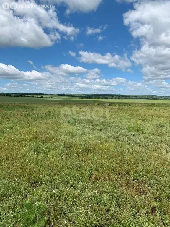 Участок в Задонский район, Каменский сельсовет, деревня Большое ... - Фото 1