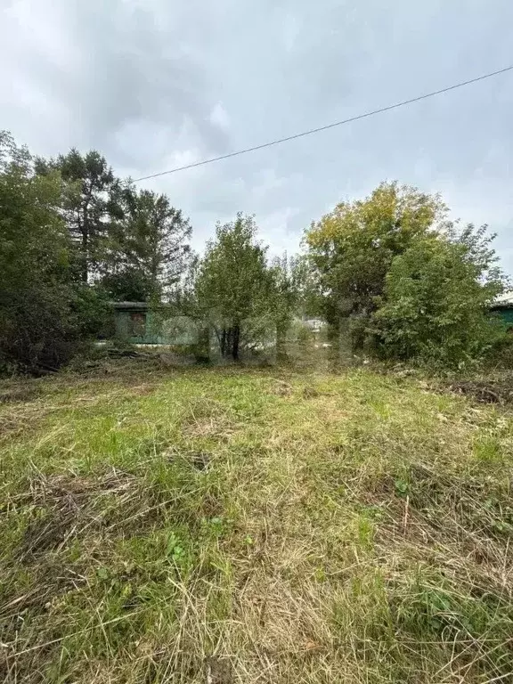 Участок в Новосибирская область, Новосибирский район, Барышевский ... - Фото 1