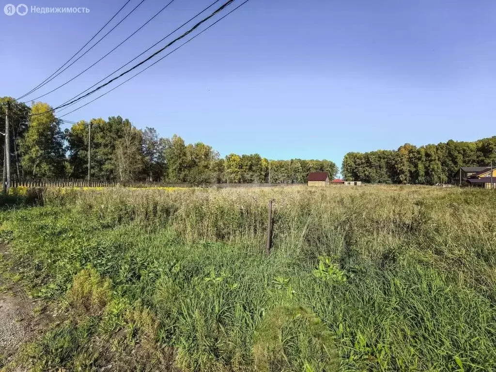 Участок в село Кубовая, Озёрная улица (15 м) - Фото 2