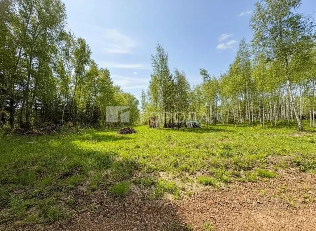 Участок в Новосибирская область, Новосибирский район, Новолуговской ... - Фото 1
