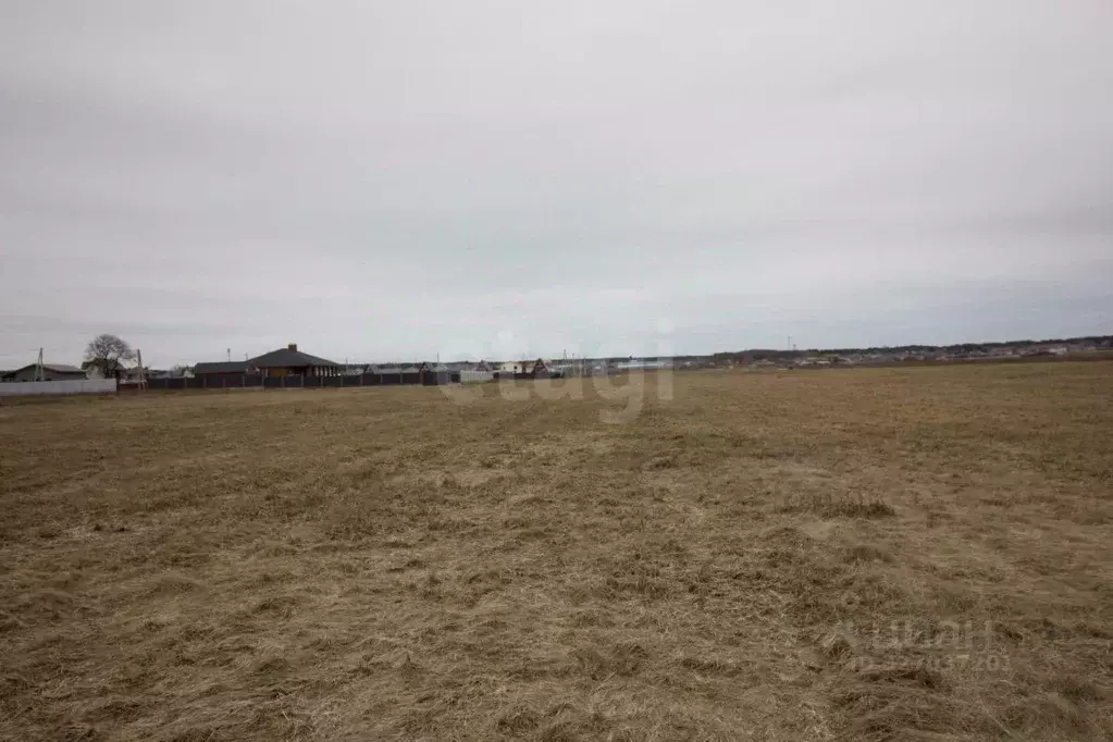 Участок в Калужская область, Дзержинский муниципальный округ, с. ... - Фото 1