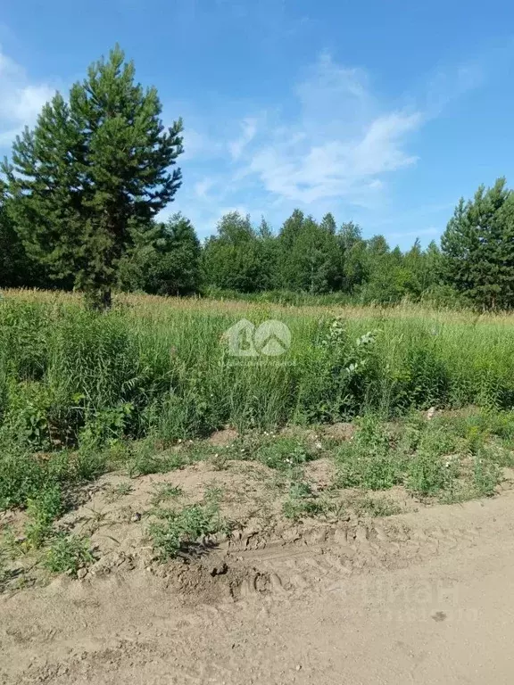 Участок в Новосибирская область, Бердск ул. Дивная (8.8 сот.) - Фото 2