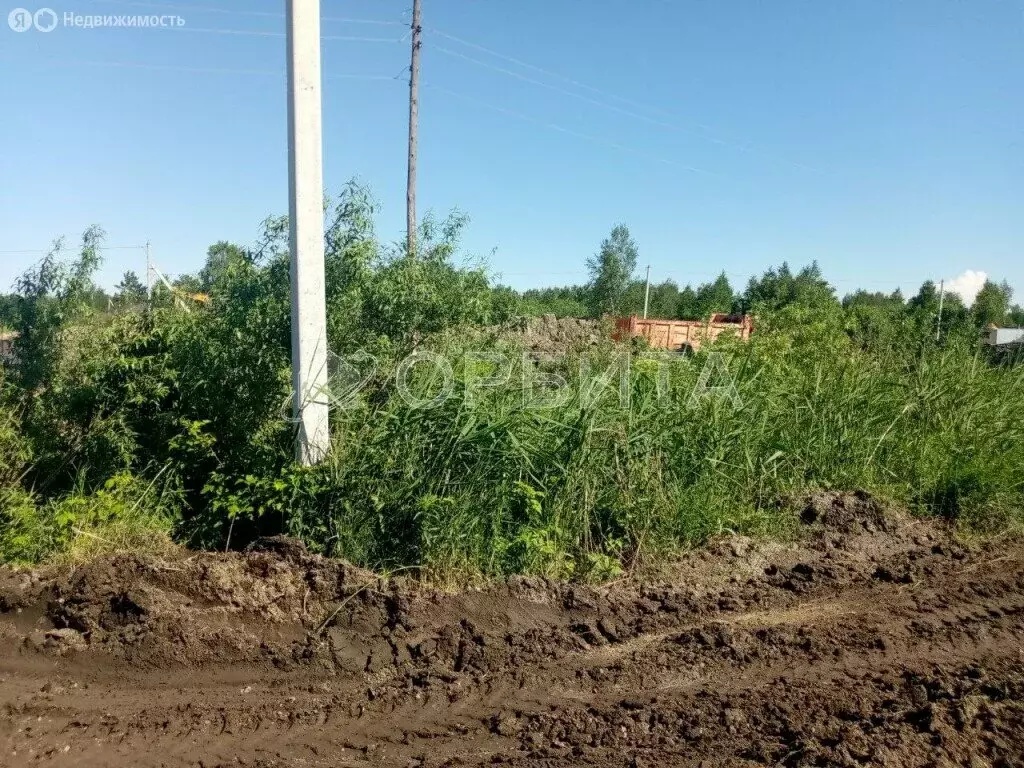 Участок в СНТ Березняки (7.2 м) - Фото 1