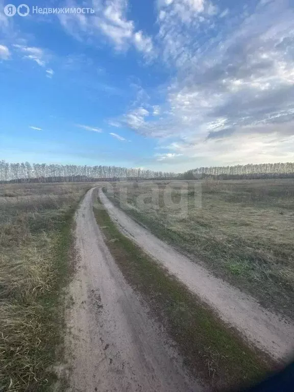 Участок в село Усть-Заостровка, Центральная улица (9 м) - Фото 2