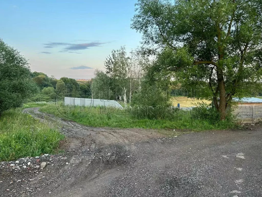 Продается участок в д. Быковка - Фото 2