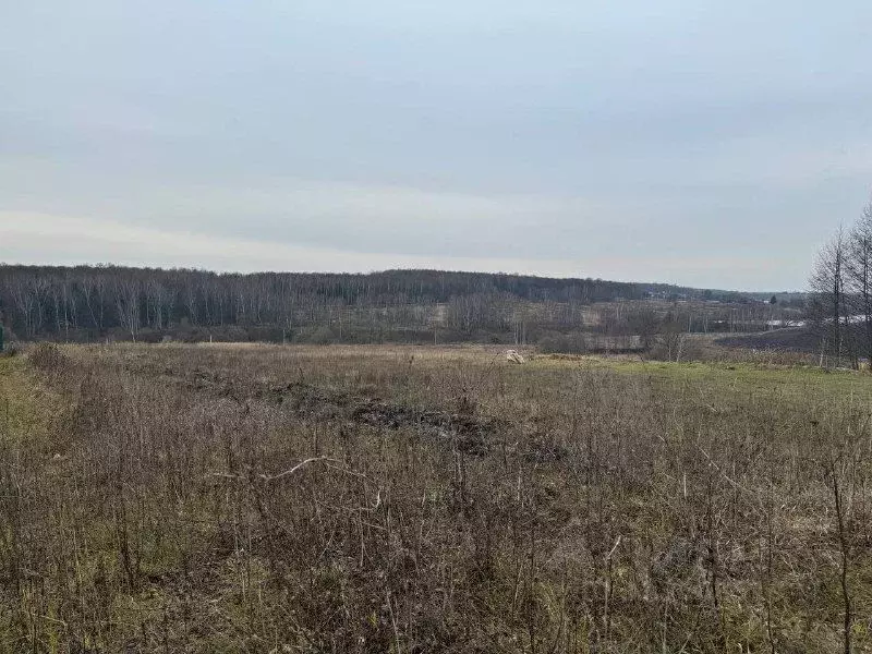 Участок в Московская область, Кашира городской округ, д. Клубня  ... - Фото 0