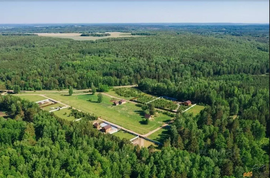 Участок в Красноярский край, Емельяновский район, с. Талое Лесная ул., ... - Фото 1