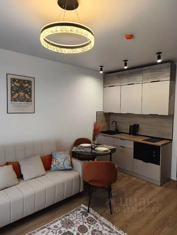 Студия Московская область, Одинцово ул. Березовая, 4к1 (22.0 м) - Фото 2