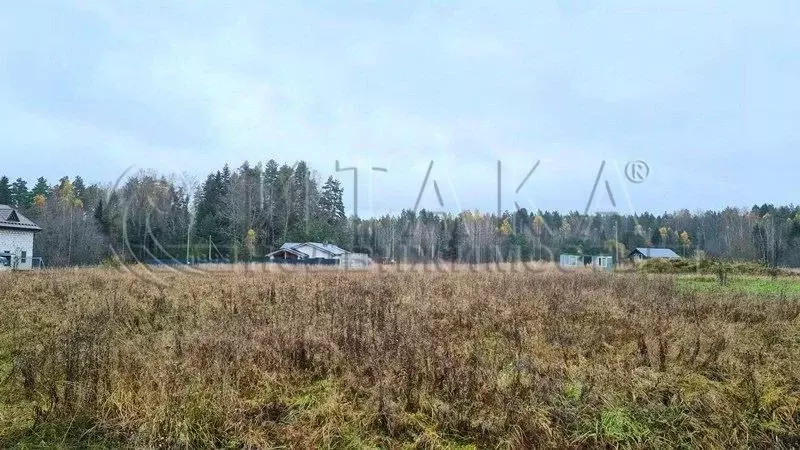 Участок в Ленинградская область, Выборг ул. Серебристая, 12 (10.64 ... - Фото 1