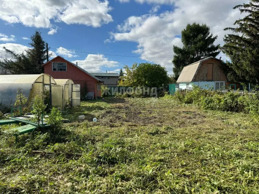 Дом в Новосибирск, садовое товарищество Садовод-ССМ (35 м) - Фото 1