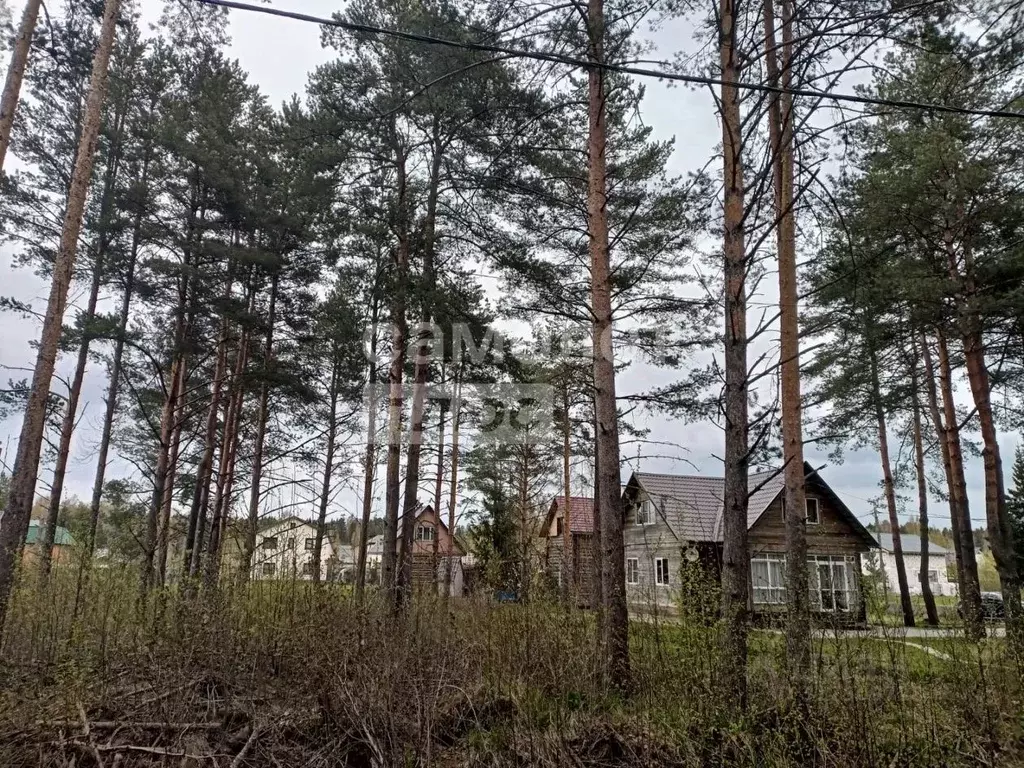 Участок в Ленинградская область, Тосно г. Тосненский район, Тосненское ... - Фото 0