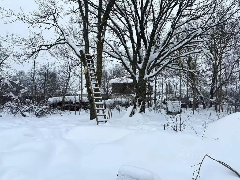 Участок в Москва Новобрехово хут., 3/2 (9.5 сот.) - Фото 0